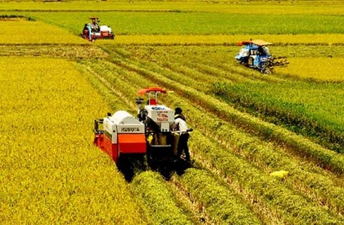Agricultural restructuring be accompanied by appropriate growth model - ảnh 1
